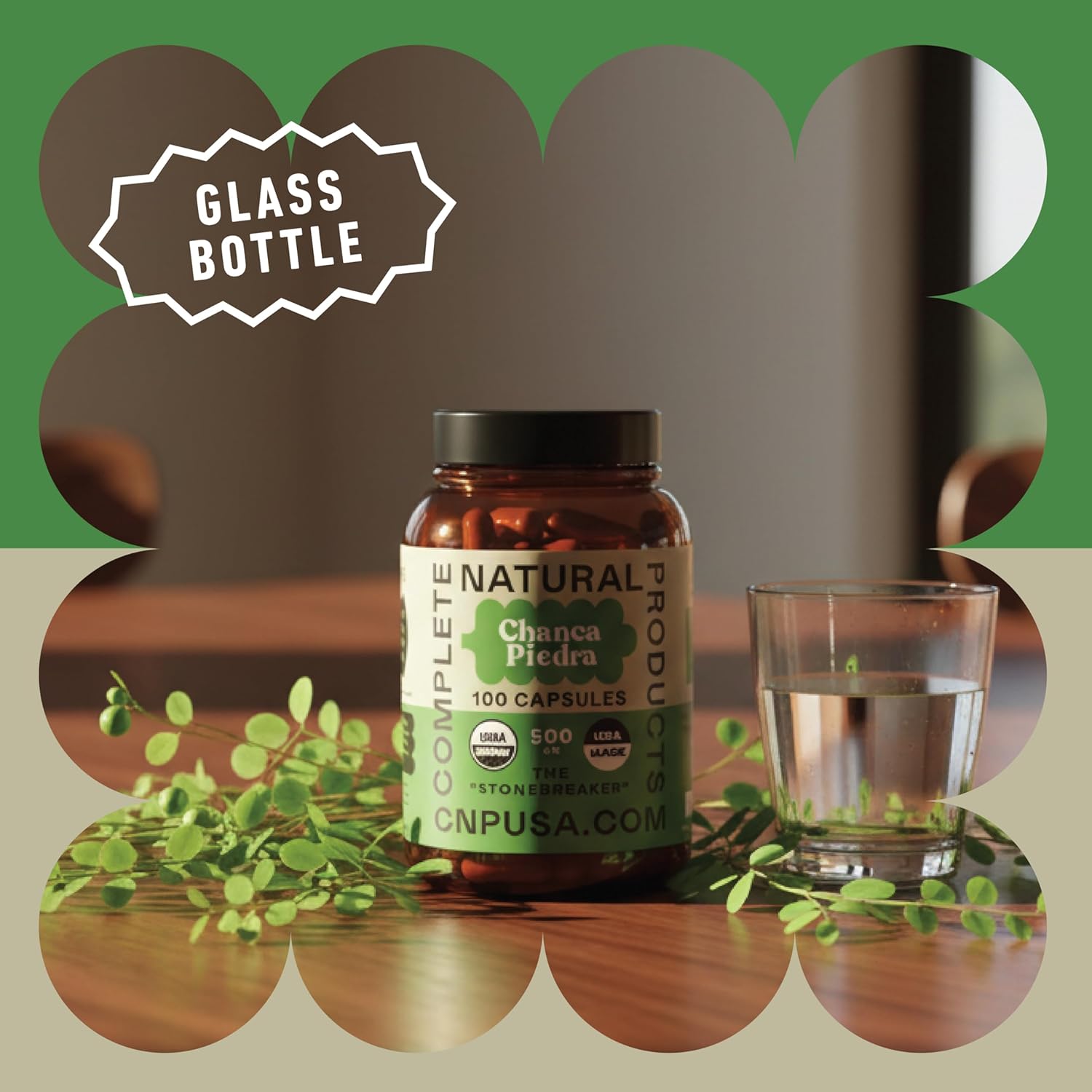Chanca Piedra Orgánica 500mg – Cápsulas de Phyllanthus Niruri – Complemento Herbal Vegano