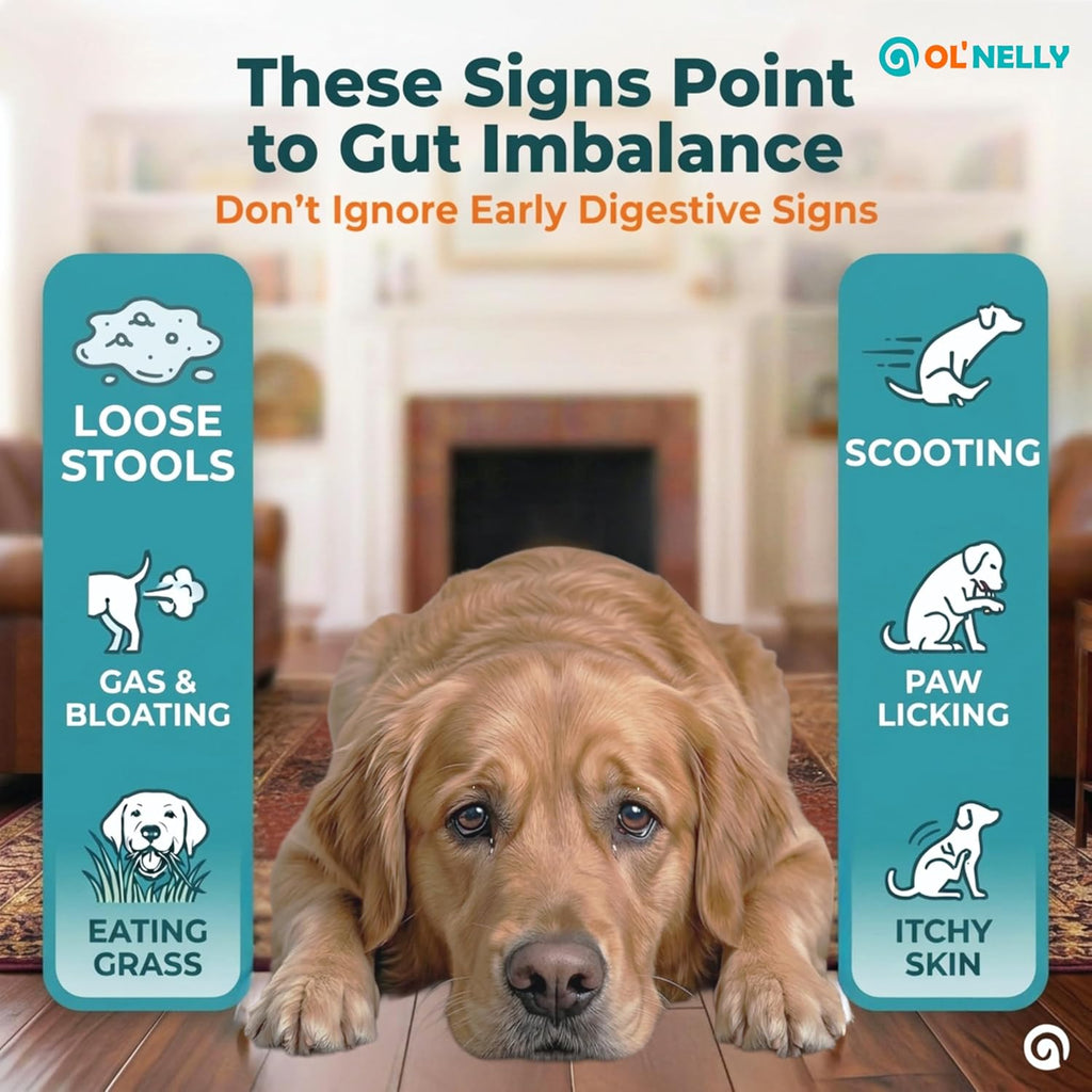 OL’ NELLY Pasta Probiótica para Perros y Gatos - 7.2 Mil Millones UFC, 6 Cepas + Prebiótico, 14g