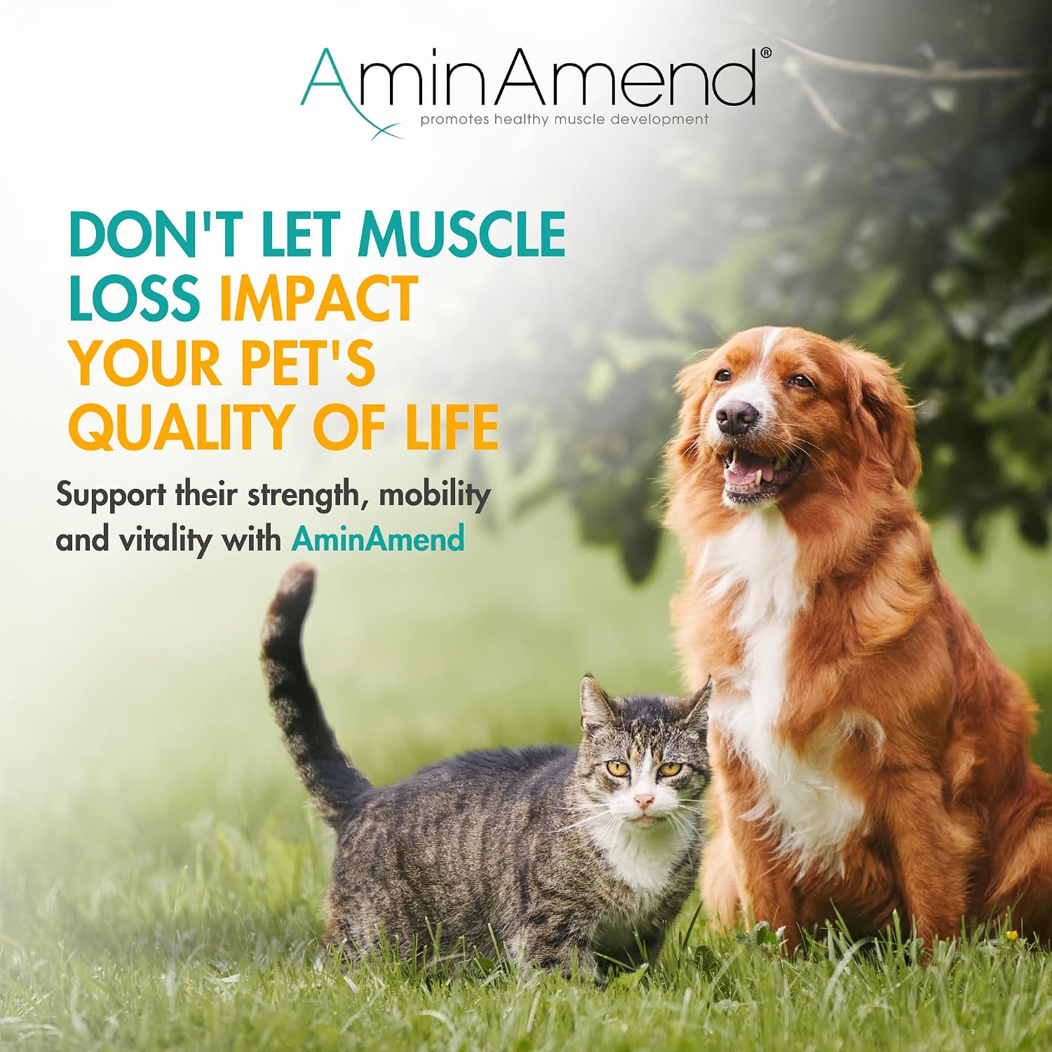 AminAmend Suplemento Muscular para Perros y Gatos Pequeños con CaHMB y Vitamina D3 - 30 Cápsulas