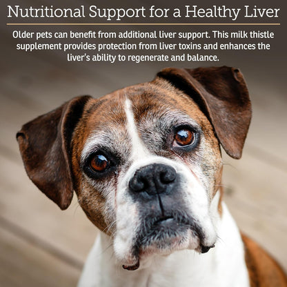 Rx Vitamins Hepato Support – Complemento – Vitamina B2 (riboflavina): Contribuye al metabolismo energético y al – Image 2
