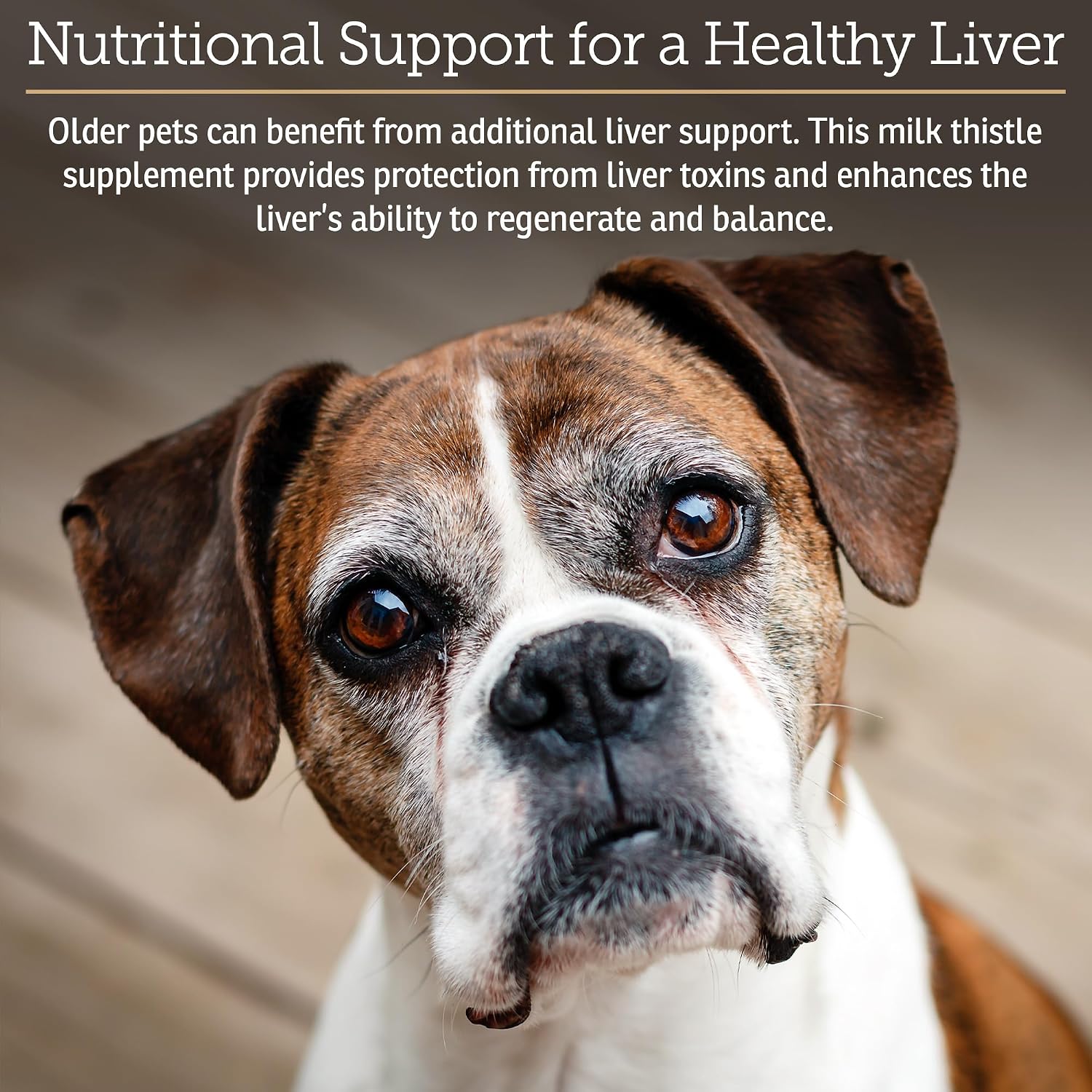 Rx Vitamins Hepato Support para Perros y Gatos - Complemento Hepático con Cardo Mariano y Vitamina B - 180 Cápsulas