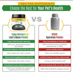 Polvo de Melena de León Orgánico para Perros y Gatos – Apoyo Cognitivo – Extracto de Cuerpo Fructífero Orgánico USDA, 45 Dosis