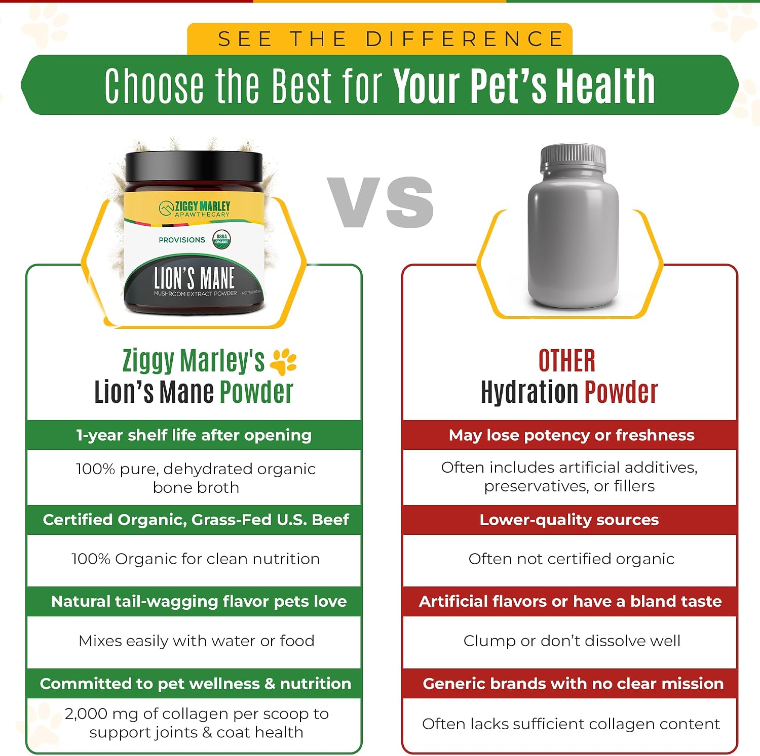 Polvo de Melena de León Orgánico para Perros y Gatos – Apoyo Cognitivo – Extracto de Cuerpo Fructífero Orgánico USDA, 45 Dosis
