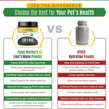 Polvo de Melena de León Orgánico para Perros y Gatos – Apoyo Cognitivo – Extracto de Cuerpo Fructífero Orgánico USDA, 45 – Image 6
