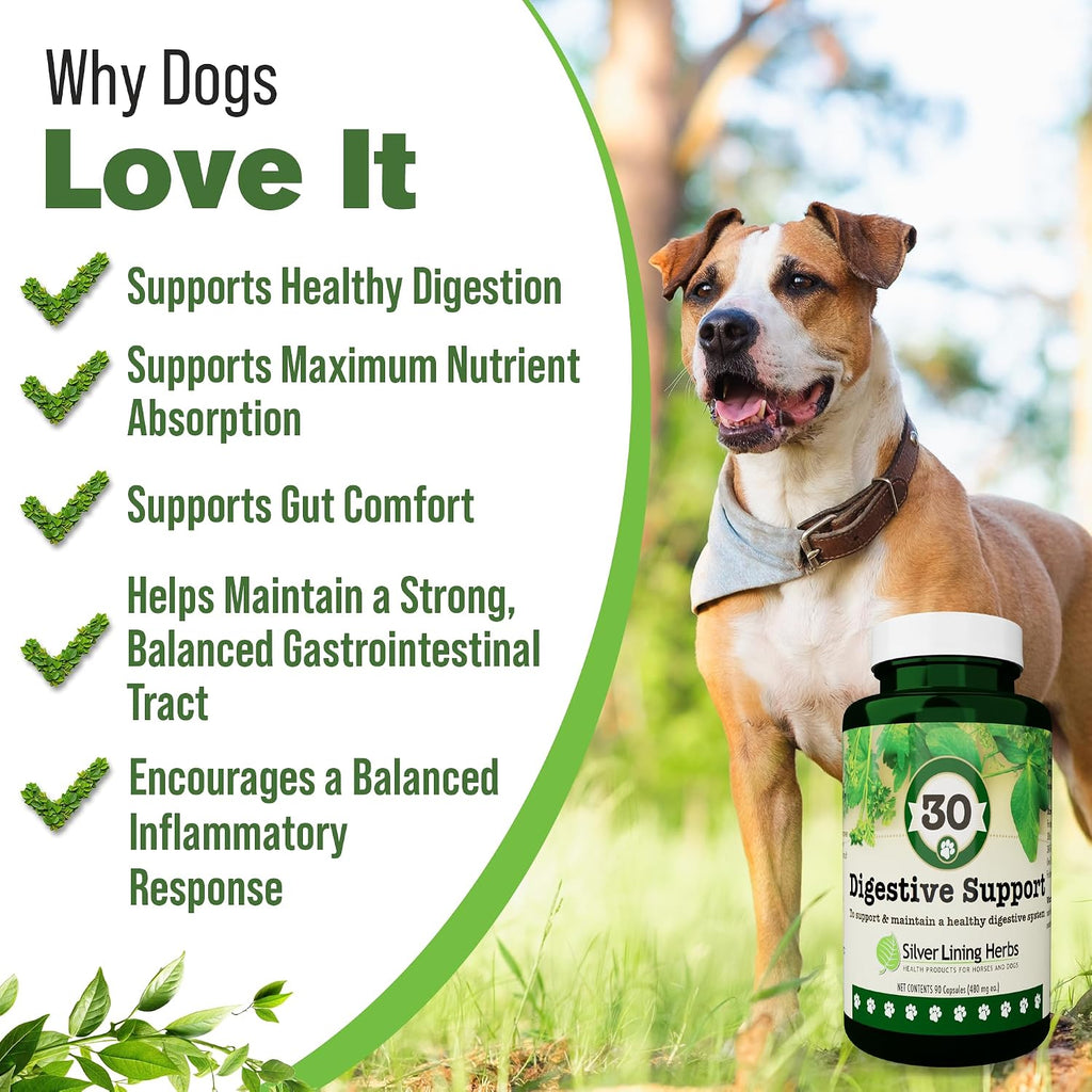 Digestive Support for Dogs - Natural Herbal Supplement - 90 Capsules