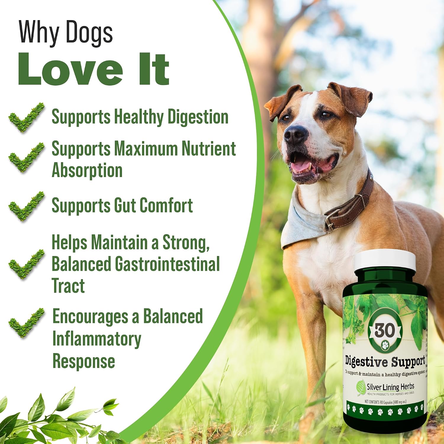Digestive Support for Dogs - Natural Herbal Supplement - 90 Capsules