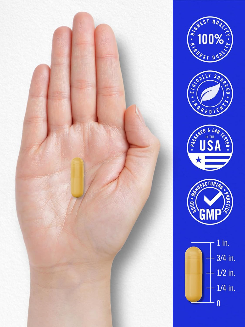 Carlyle Complejo B-100, 250 Cápsulas - Vitaminas B1, B2, B3, B6, B12, Biotina, Ácido Fólico e Inositol