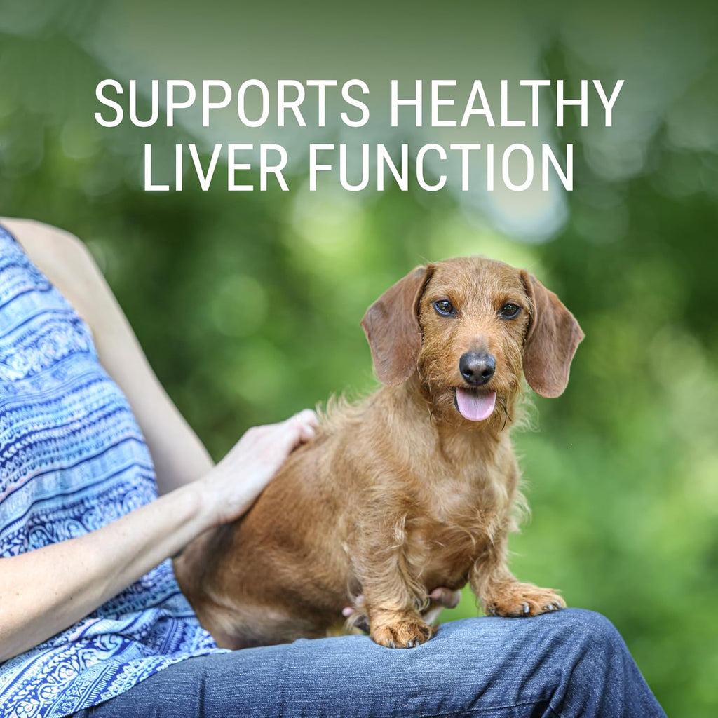 Denosyl for Medium Dogs - Supplement with S-adenosylmethionine (SAMe) - 30 Tablets