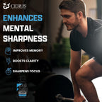 Cerus Performance Focus – Suplemento Nootrópico para Claridad Mental y Concentración – 60 Cápsulas