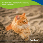 Canina Pharma GmbH Canivita 250ml