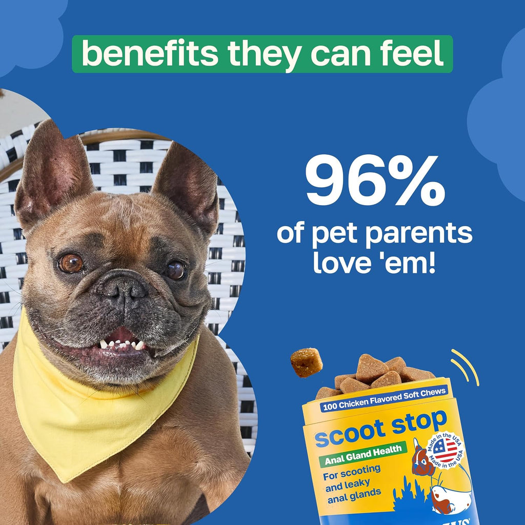 Happy Paws Scoot Stop – Snacks blandos para perros con aceite de coco, calabaza y algas marinas, 200 uds.