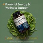 NatureBell Vitamina B2 (Riboflavina) 400mg - 240 Cápsulas - Complemento para Energía y Salud Celular