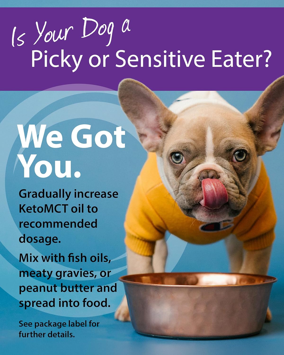 LifeSense Aceite MCT C8 para Perros - 946 ml