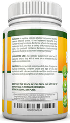 Berberina 1200 mg - 90 Cápsulas Vegetales - Suplemento Puro de Berberina HCL - NutriONN