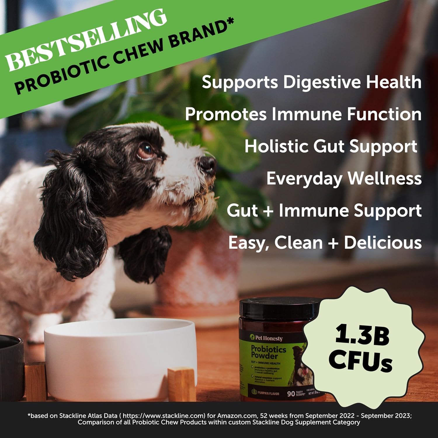 Pet Honesty Probióticos en polvo para perros con enzimas digestivas y calabaza - 90 dosis