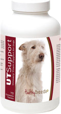 Healthy Breeds Masticables de Arándano para Perros Podengo Pequeno Portugués - Apoyo Urinario - 75 Unidades