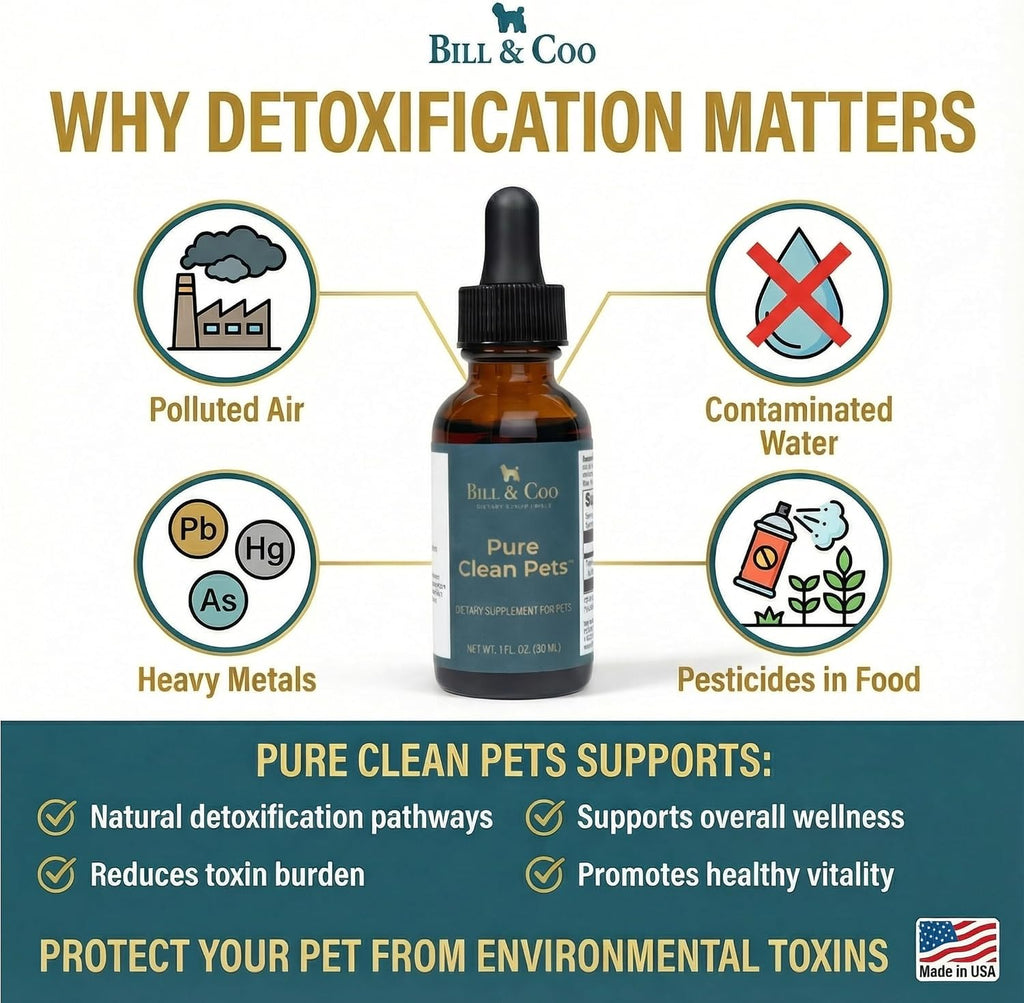BILL & COO Probióticos Líquidos para Perros Pure Clean Pets – Desintoxicación y Metales Pesados con Vitamina C, 30 ml
