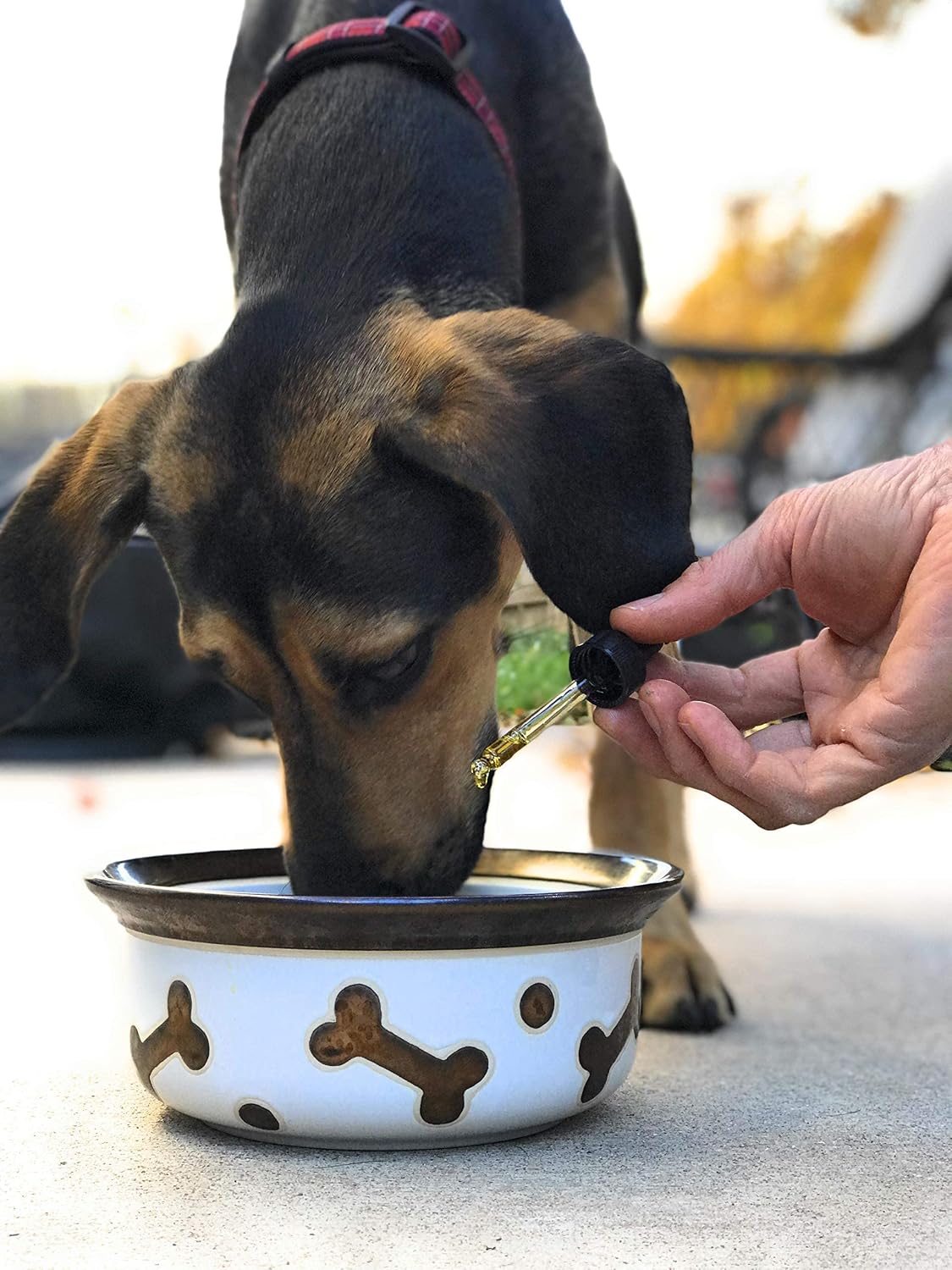 Daily Thrive de Homescape Pets - Aceite de Cáñamo y Cúrcuma para Perros y Gatos