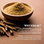 TRIBE ORGANICS Ashwagandha KSM-66 600 mg - Extracto de raíz orgánico - 120 cápsulas