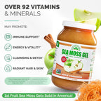 EverSmith Organics - Gel de Musgo Marino Silvestre Irish | Sabor Manzana Canela