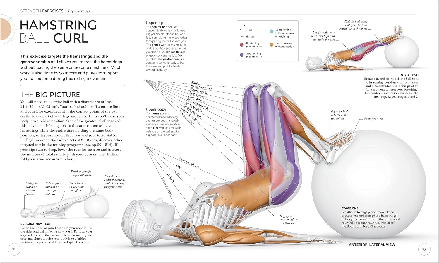 Ciencia del entrenamiento de fuerza: comprenda la anatomía y la fisiología para transformar su cuerpo (La ciencia del fitness)
