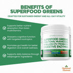Optimal Human Superfood Greens Powder – Mezcla de 90+ Ingredientes con Lion's Mane, Ashwagandha y Cúrcuma – 178 g
