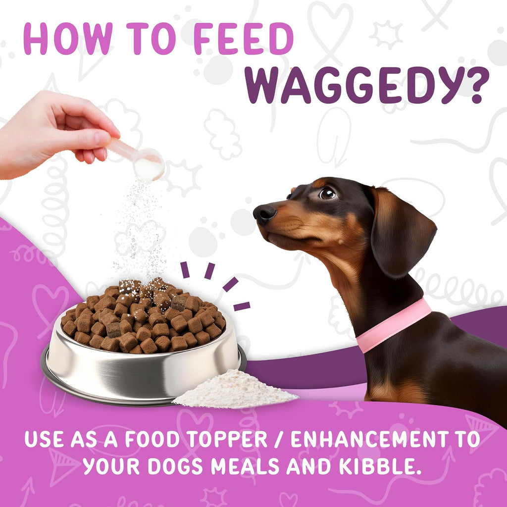 Waggedy Advanced Dog Probiotics Gut and Digestion Food Topper – Probiótico en polvo con enzimas digestivas y papaya – Probióticos suaves para perros de 6 semanas en adelante – Apoya el equilibrio intestinal, el confort y la salud inmunitaria