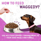 Waggedy Advanced Dog Probiotics Gut and Digestion Food Topper – Probiótico en polvo con enzimas digestivas y papaya – Probióticos suaves para perros de 6 semanas en adelante – Apoya el equilibrio intestinal, el confort y la salud inmunitaria