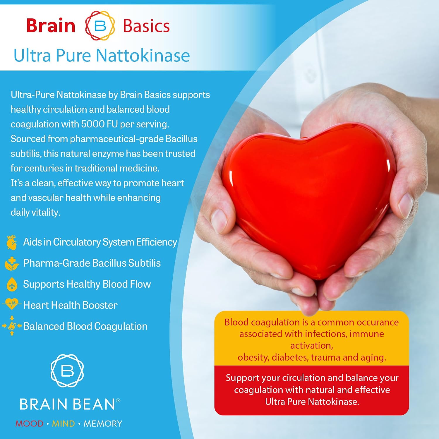 Brain Basic Ultra-Pure Nattokinase 5000 FU – 120 Cápsulas