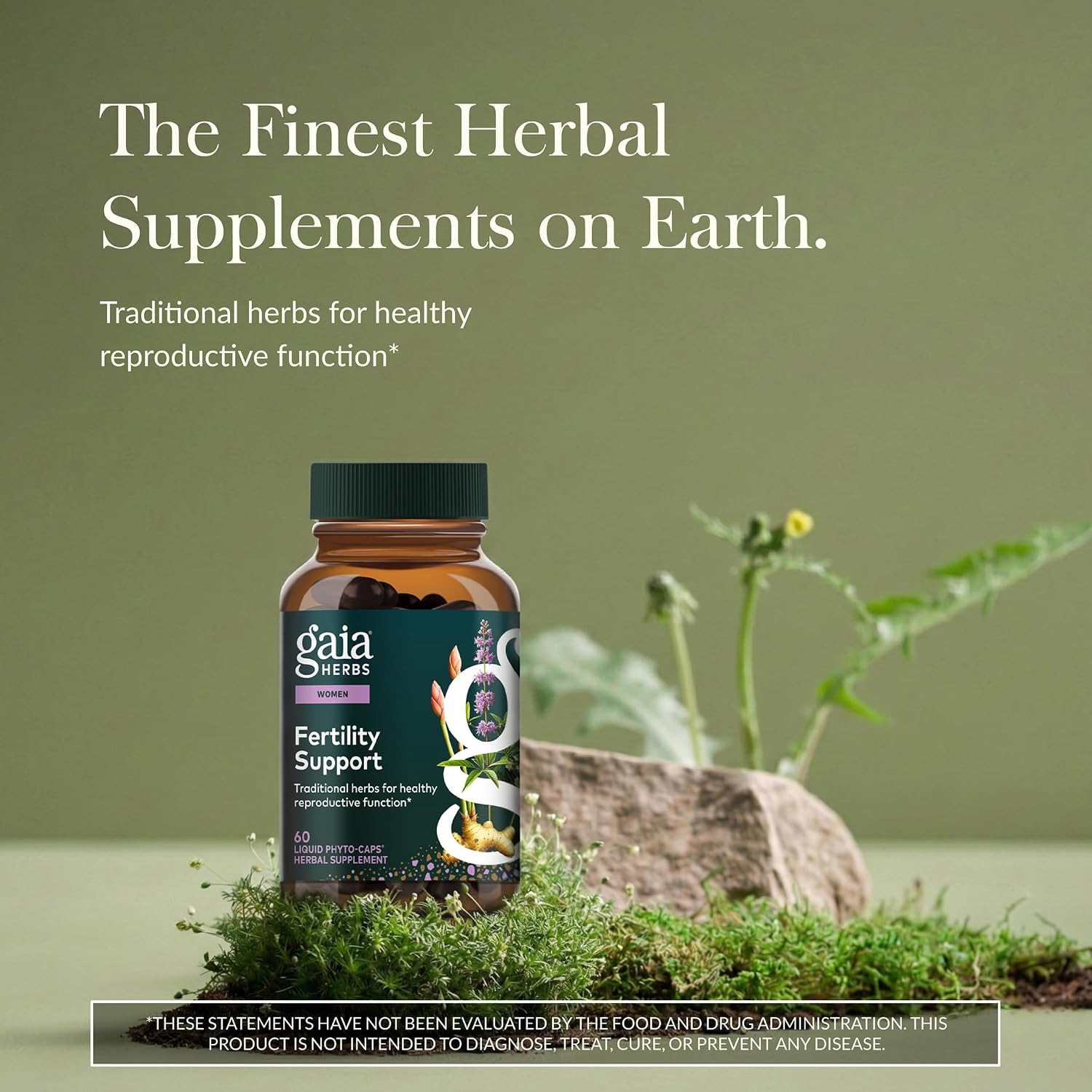 Gaia Herbs Fertility Support - Complemento para el bienestar femenino con Vitex - 60 Cápsulas Líquidas Veganas