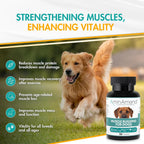 AminAmend Suplemento Muscular para Perros Grandes – CaHMB y Vitamina D3, 30 cápsulas