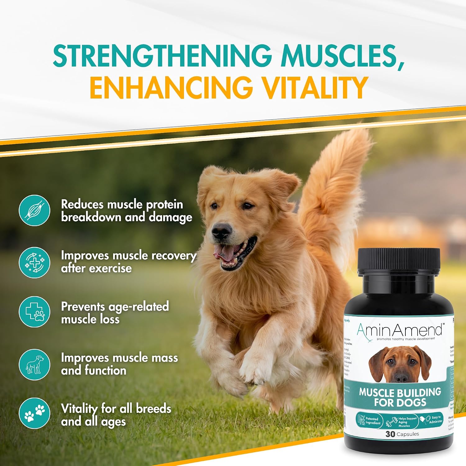 AminAmend Suplemento Muscular para Perros Grandes – CaHMB y Vitamina D3, 30 cápsulas