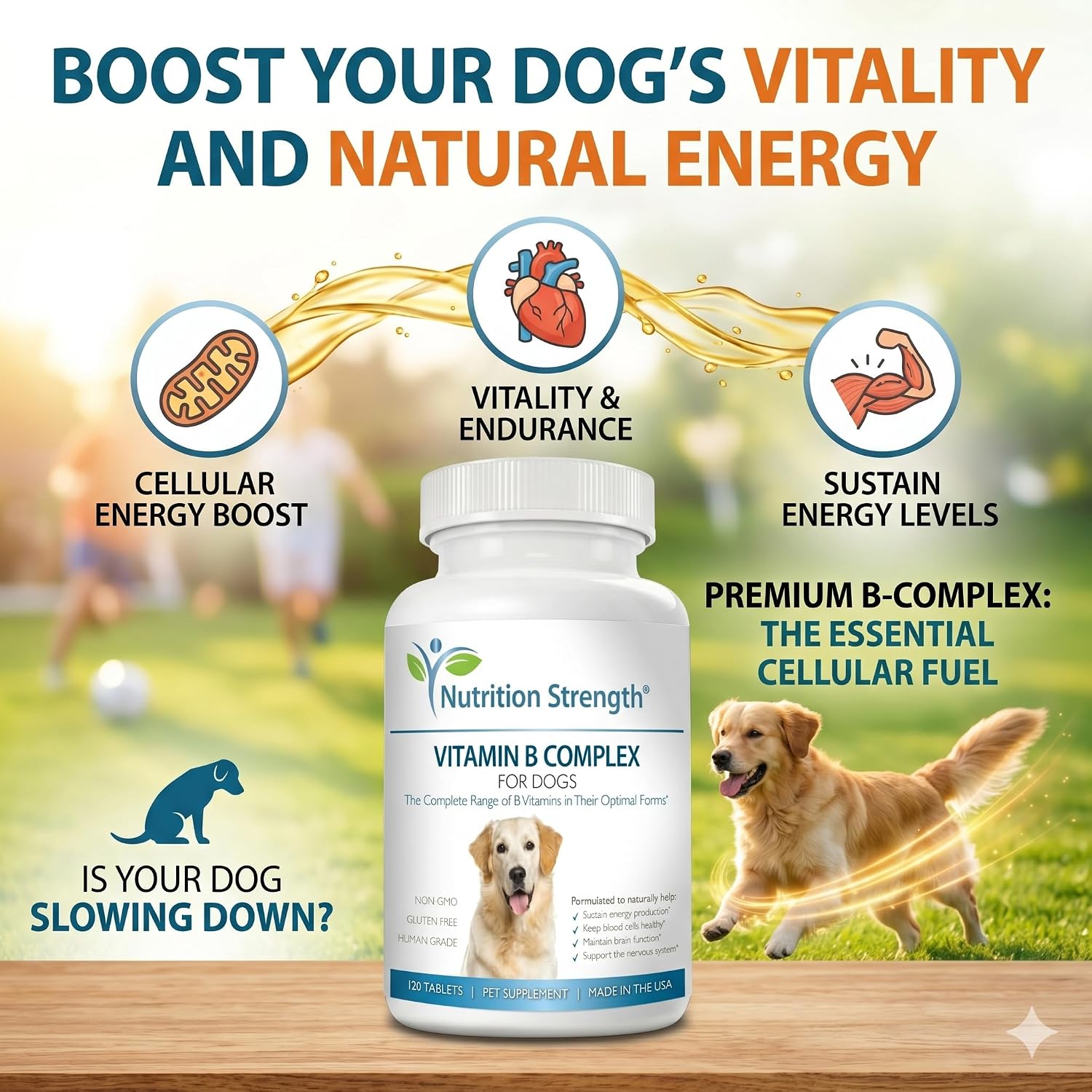 Nutrition Strength Complejo B para Perros, 120 Comprimidos Masticables