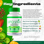 LipoVive Cápsulas, Fórmula Avanzada Pro - Suplemento Natural para Energía y Bienestar (2 Paquetes)