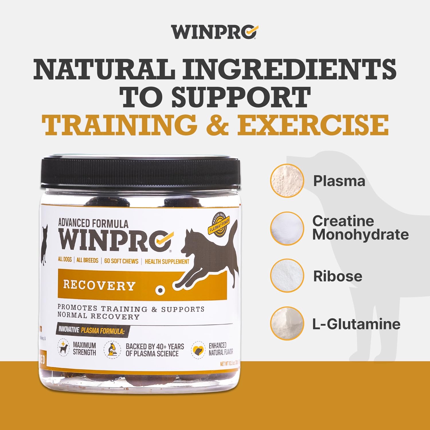 WINPRO Recovery Soft Chews para Perros, 60 masticables con plasma