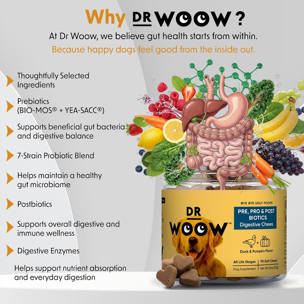 DR WOOW Probióticos para Perros – Masticables Suaves con Enzimas Digestivas – Sabor Pato y Calabaza – 90 Unidades