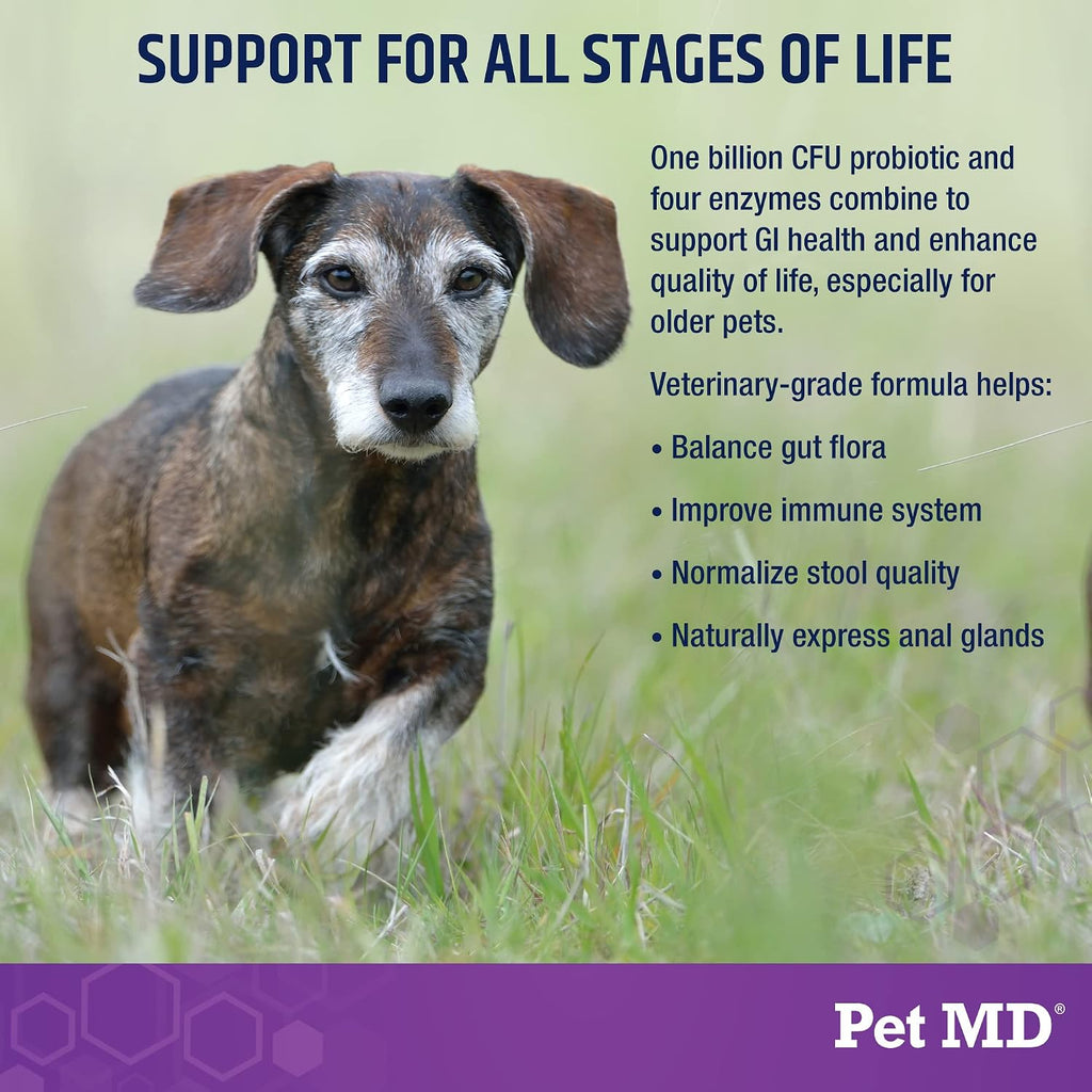 Pet MD Probióticos y Enzimas para Perros - Masticables de Salud Intestinal con Prebióticos - 60 unidades
