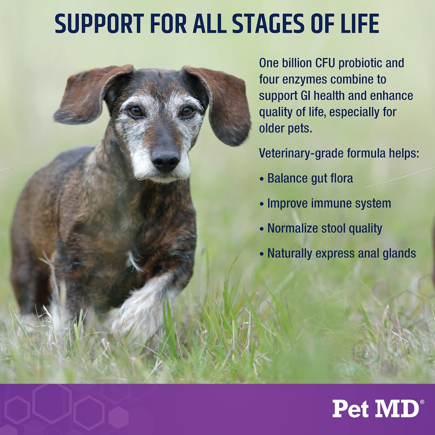 Pet MD Probióticos y Enzimas para Perros - Masticables de Salud Intestinal con Prebióticos - 60 unidades