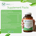 Return Healthy Cryptolepis Synergy – Complemento de apoyo inmunológico, 120 cápsulas
