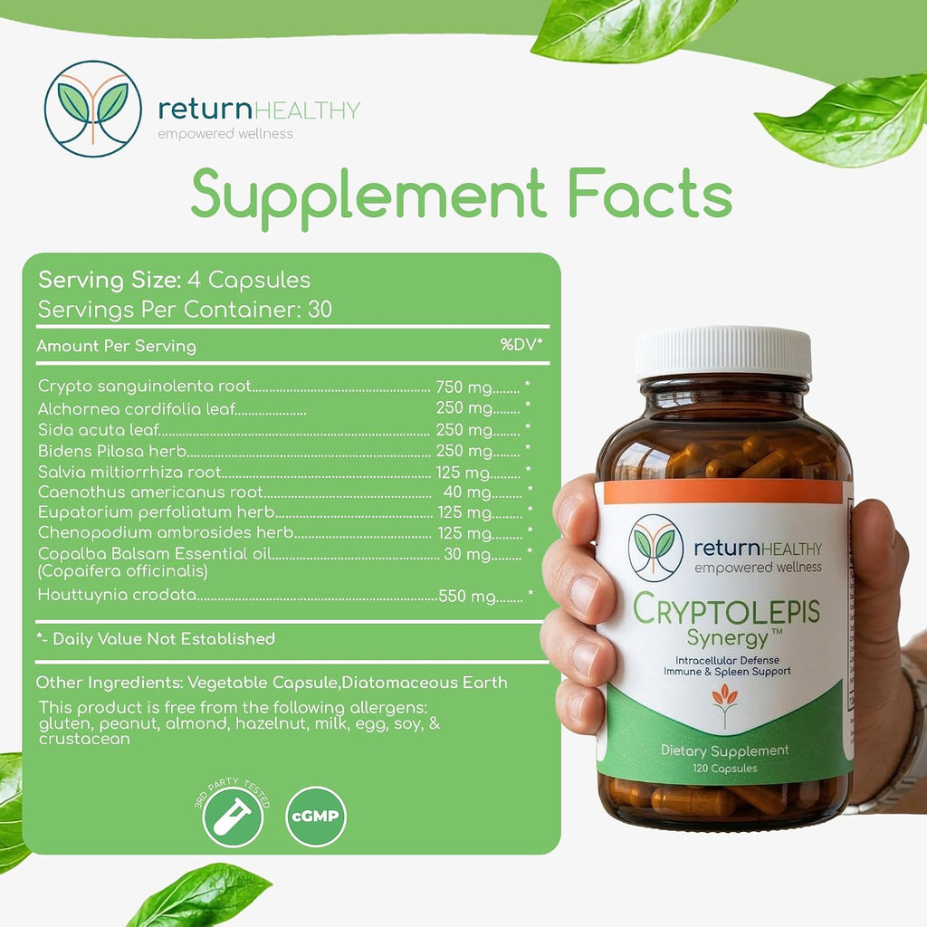 Cryptolepis Synergy, Complemento Alimenticio para el Apoyo Inmunitario, Hepático y Linfático, 120 Cápsulas, 3 Paquetes