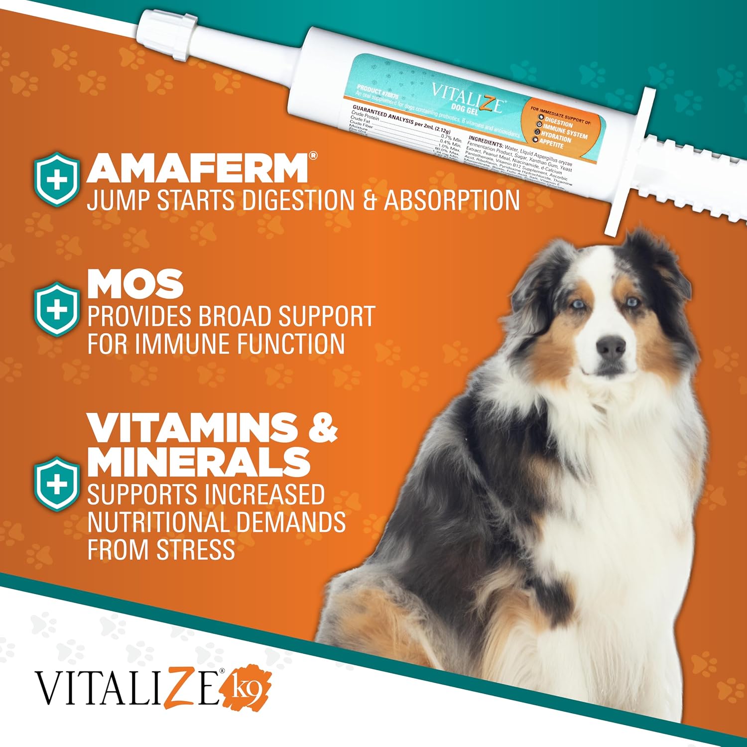 Vitalize Dog Gel, 15 ml - Suplemento de recuperación quirúrgica y apoyo inmunológico para perros pequeños - Sabor a mantequilla de maní con vitaminas, aminoácidos y prebiótico para la salud digestiva y la curación
