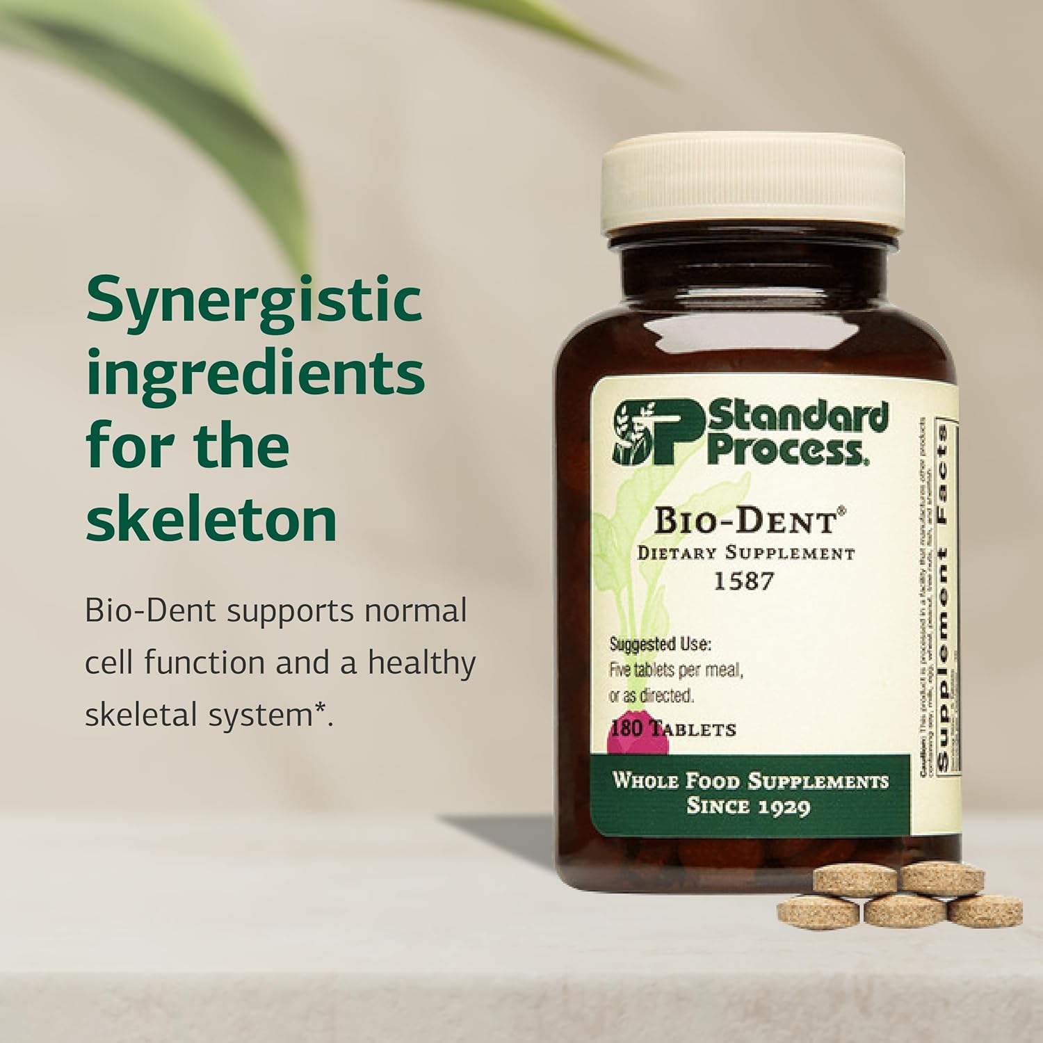 Bio-Dent de Standard Process - Suplemento para huesos, músculos y metabolismo - 180 comprimidos