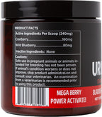 Super Snouts Urinary Berry - Complemento Urinario en Polvo para Perros y Gatos, con Arándano Azul y Rojo, 2.63 oz (Pack de 2)