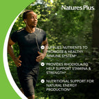 NaturesPlus Source of Life Men - Multivitamínico y Mineral para Hombres - Sin Hierro - 60 Comprimidos