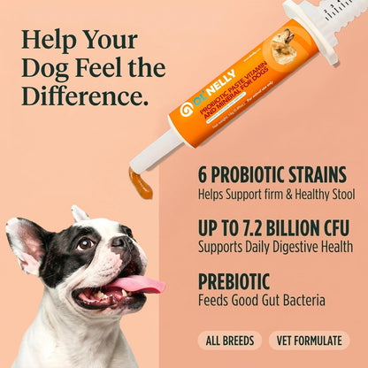 OL’ NELLY Pasta Probiótica para Perros y Gatos - 7.2 Mil Millones UFC, 6 Cepas + Prebiótico, 14g – Image 3