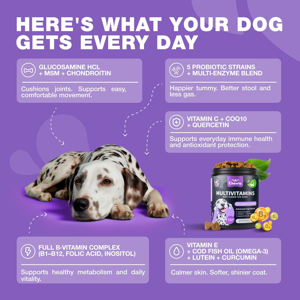 Golosinas Multivitamínicas 15 en 1 para Perros con MSM, Glucosamina y Quercetina – Apoyo Articular, Piel y Digestión