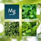 Nature's Sunshine Mind-Max 90 Cápsulas