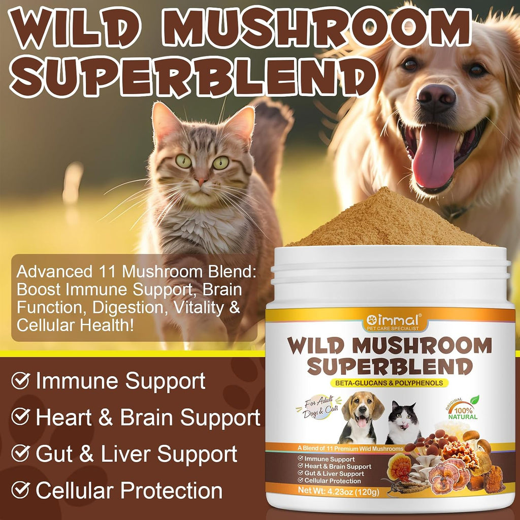 Wild Mushroom Superblend para Bultos y Protuberancias, 125 ml