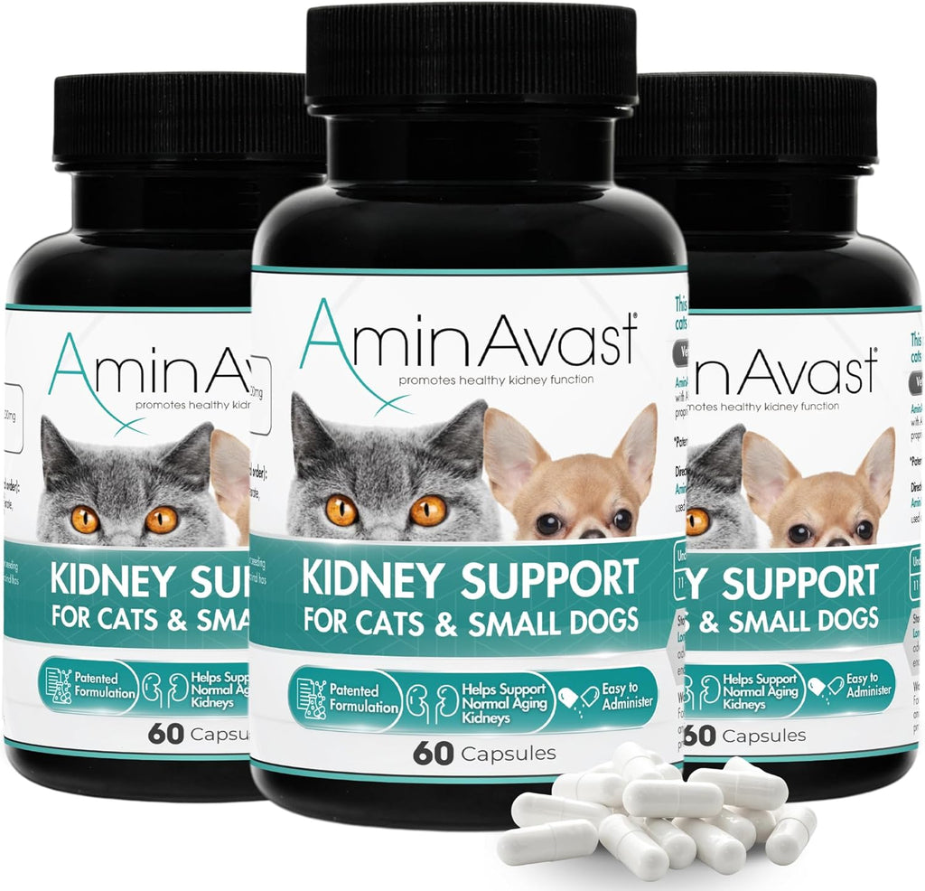 AminAvast Suplemento de Apoyo Renal para Gatos y Perros Pequeños, 300mg (Pack de 3) - 60 Cápsulas Espolvoreables