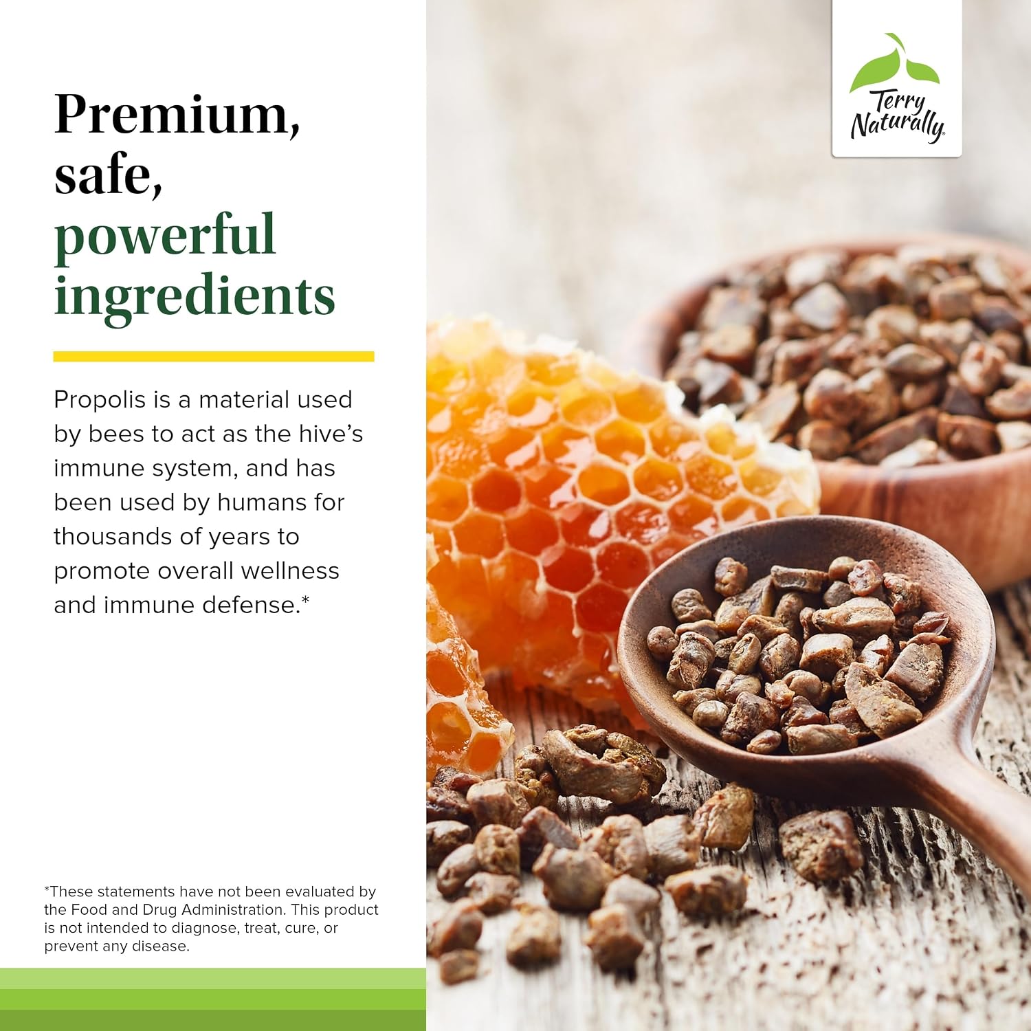 Terry Naturally Propolis Extract EP300 - Extracto de Propóleo - 60 Cápsulas